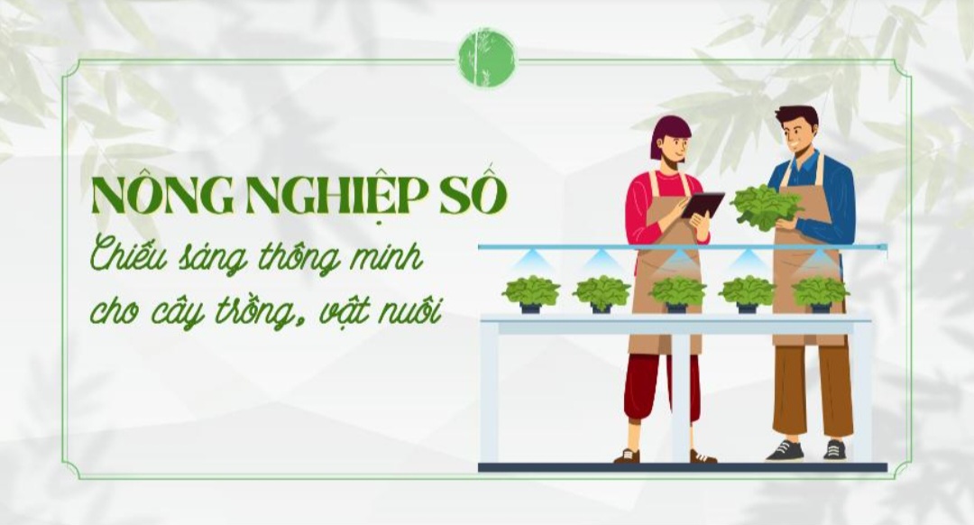 Nông nghiệp số: Chiếu sáng trong cây trồng và vật nuôi